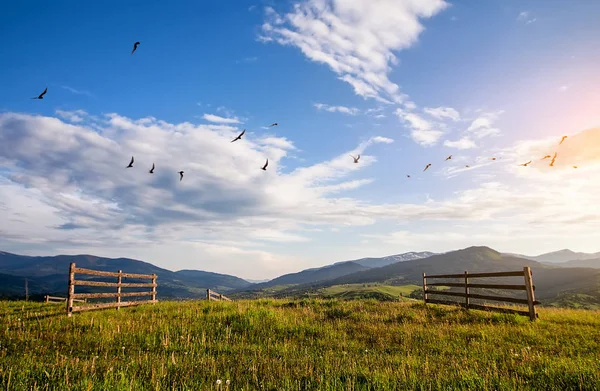 Landelijke houten hek. natuurlijk zomer landschap met blauw bewolkt SK — Stockfoto