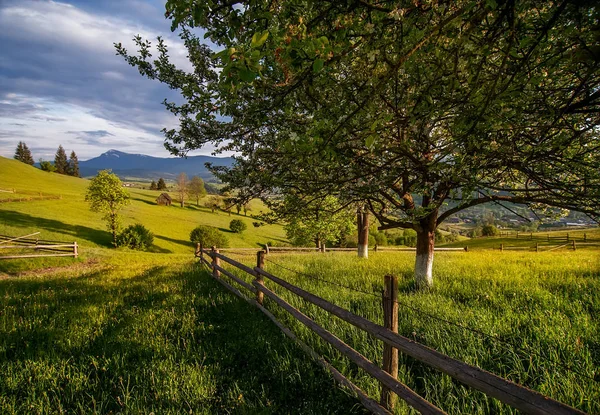 Hermoso paisaje rural con antigua cerca de madera, vista a la montaña o —  Fotos de Stock