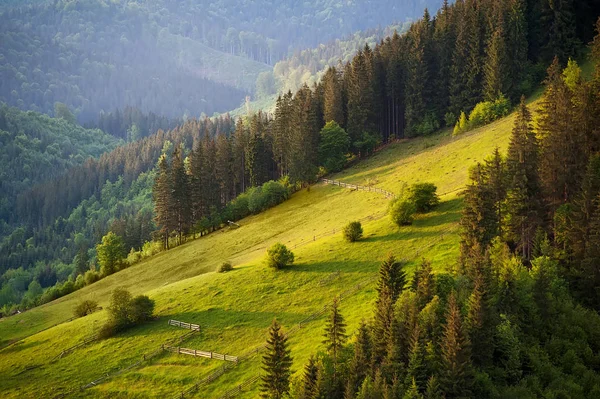 Beau paysage avec veiw de montagne. backgroun d'été naturel — Photo