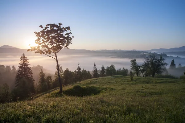 Hermoso paisaje con veta de montaña y niebla de la mañana en Sunris —  Fotos de Stock