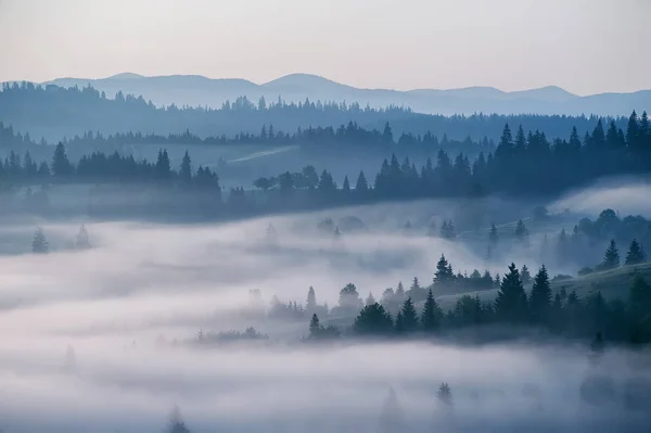 Hermoso paisaje con veta de montaña y niebla de la mañana en Sunris —  Fotos de Stock