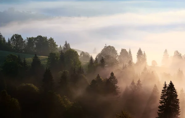 Hermoso paisaje con veta de montaña y niebla de la mañana en Sunris —  Fotos de Stock