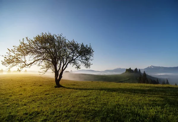 Landsbygdens naturliga sommarlandskap med blå mulen himmel och berg — Stockfoto