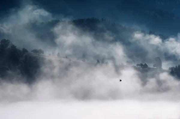 Uccello che vola sopra le nuvole in montagna. bellissimo paesaggio — Foto Stock