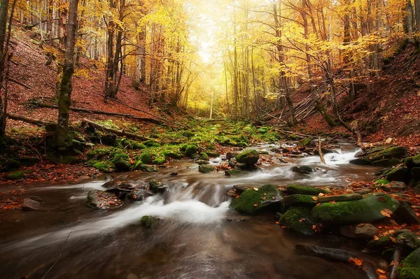 Paisaje de otoño. árboles coloridos y hermosa cascada en las profundidades — Foto de Stock
