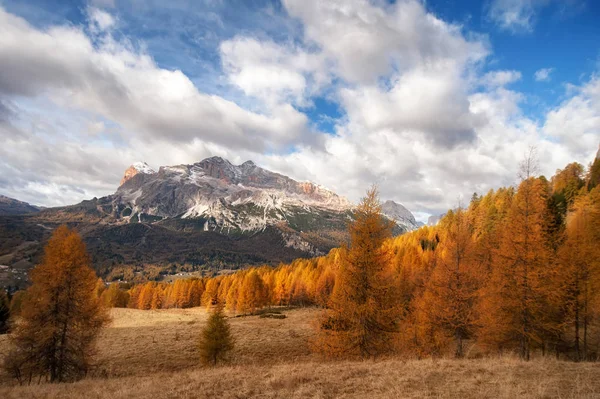 Färgglada höst träd och bergstoppar med snö. Dolomites Al — Stockfoto