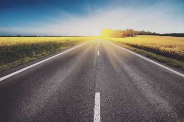 boş asfalt yol ve sarı çiçekler çiçek alanı. Doğal  