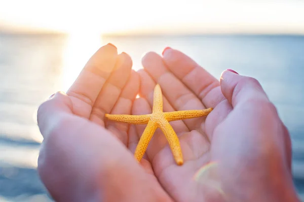 Young Woman Hands Holding Sea Star Natural Summer Background — Stock Photo, Image