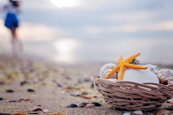 Guscio Primo Piano Sulla Spiaggia Sabbiosa Dell Oceano Tramonto Sfondo — Foto Stock