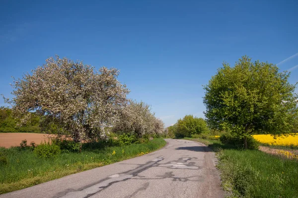 Strada Rurale Montagne Sfondo Naturale Estate Con Cielo Blu — Foto Stock