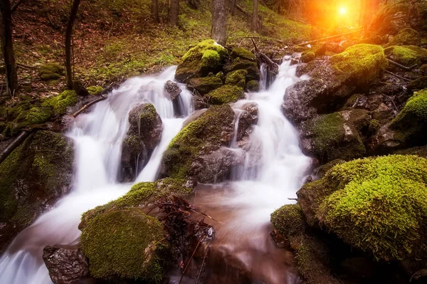 Hermosa cascada en el bosque profundo. Fondo natural. pict — Foto de Stock