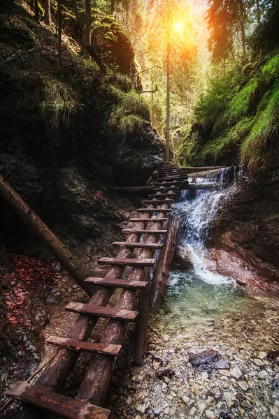 Gamla trätrappor över berget vattenfall. naturlig bakgrund — Stockfoto