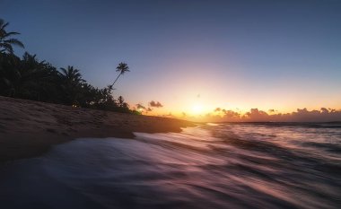 Gün batımında okyanus sahili Ufukta palmiyeler