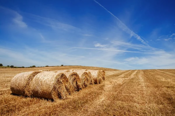 Pagliai su campo di grano sotto il cielo nuvoloso azzurro bello — Foto Stock