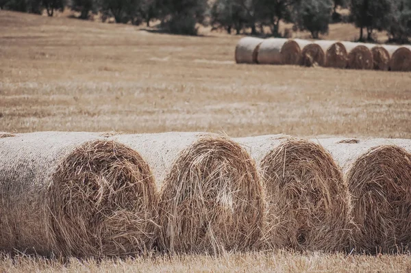 Haystack on rural field. natural background. vintage toned pictu — Stock Photo, Image