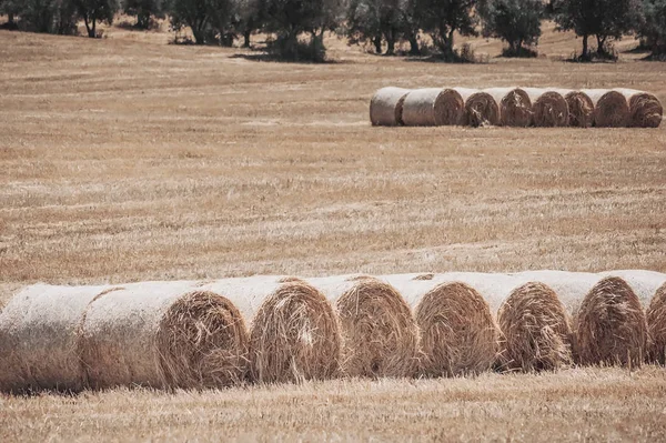 Haystack on rural field. natural background. vintage toned pictu — Stock Photo, Image