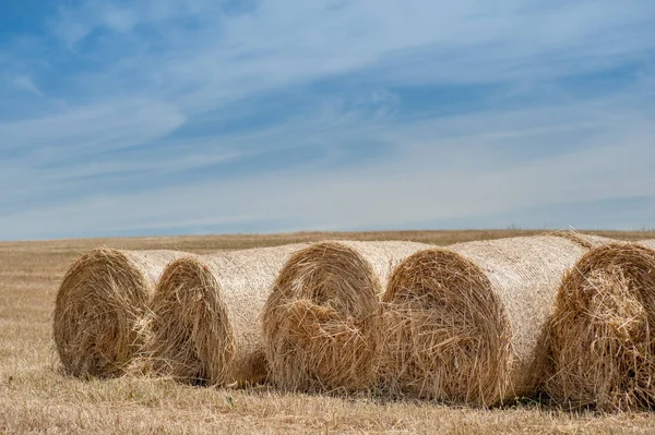 Haystack Rural Field Blue Cloudy Sky Natural Background — Stock Photo, Image