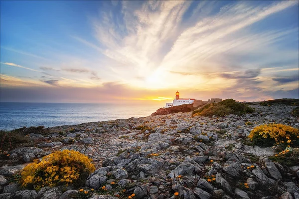 Beautiful Atlantic ocean view horizon with lighthouse , flowers — Stock Photo, Image