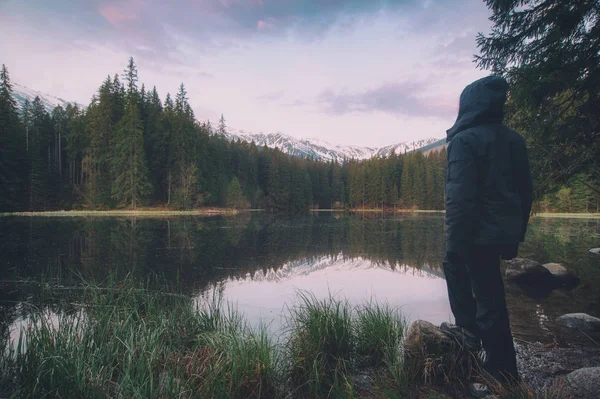 Voyageur Randonneur Touristique Regardant Les Montagnes Lac Debout Sur Les — Photo