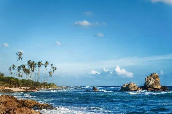 Piękny egzotyczny ocean plaża z palmami, skały i niebieski mętny s — Zdjęcie stockowe
