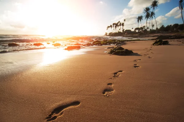 footsteps (footprints) on sandy ocean beach. beautiful landscape