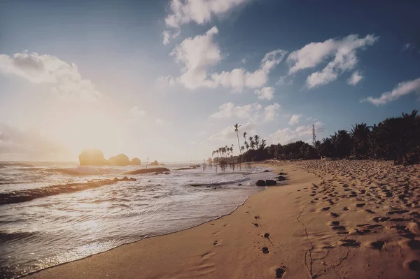 Ocean beach on sunset with row palms on horizon. винтажный тонированный p — стоковое фото