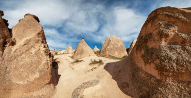ünlü turist Pasabag Monks Vadisi . panoramik görünüm. Cappad
