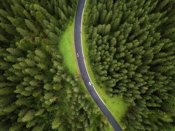 Yeşil sisli ormanı ve boş yolu olan güzel dağ manzarası. Doğal yaz (bahar) arka planı. İnanılmaz bir manzara. İHA atışı. renklendirilmiş resim