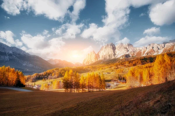 Bel automne doré dans les montagnes. fond naturel. Oui. — Photo