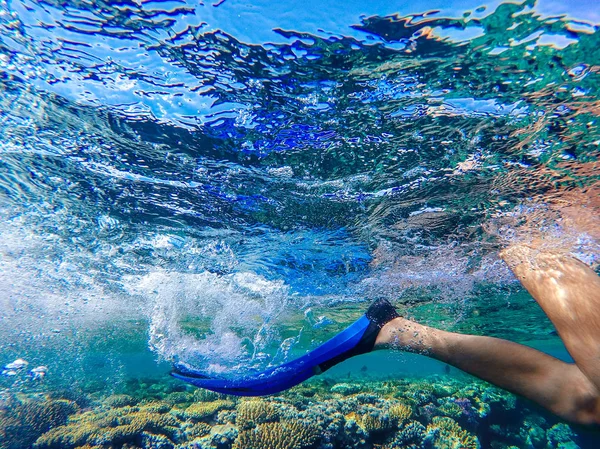 Nadador nada en aletas. primer plano — Foto de Stock