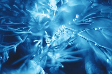 bea ile soyut (defokus, bulanık) doğal çim arka plan