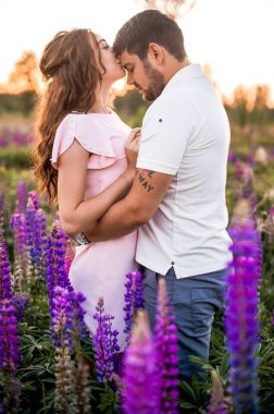 Lupines alanında sarılma Mutlu romantik çift