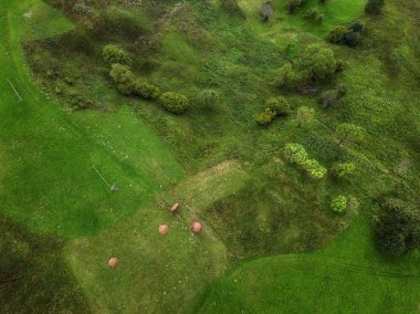 kırsal yol, yeşil alan ve ağaçların arial kırsal veiw. drone sho