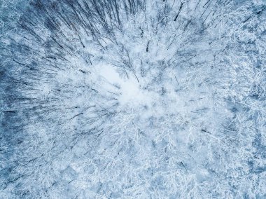 Yukarıdan dökmeyen Noeller ormanHavadan görünümü. Drone 