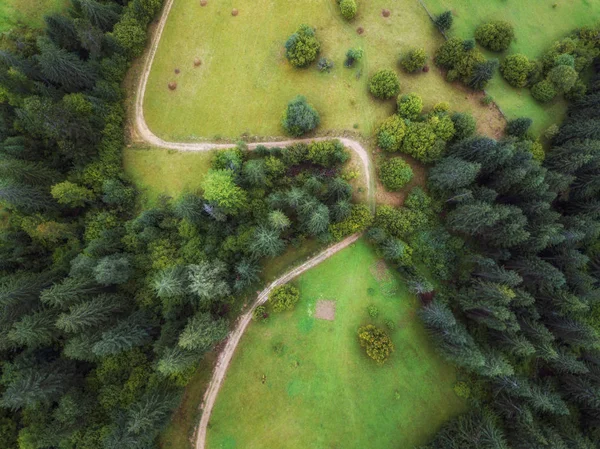 arial veiw of rural  road in green forest. drone shot