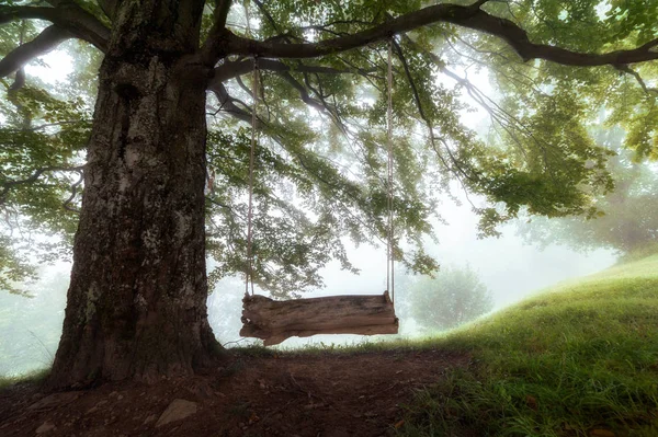 Drewniana huśtawka na drzewie. krajobrazu wiejskiego. naturalna wiosna lub lato — Zdjęcie stockowe