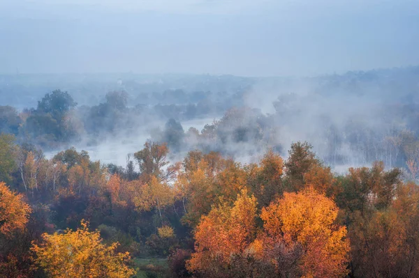 Удивительный вид с воздуха на голубую туманную реку и красочные леса на — стоковое фото