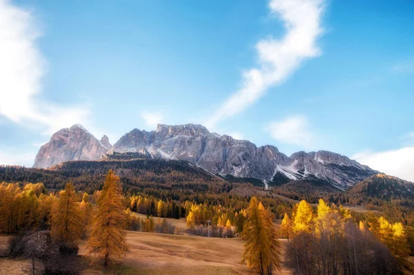 山の中の美しい黄金の秋。自然な背景。行う — ストック写真