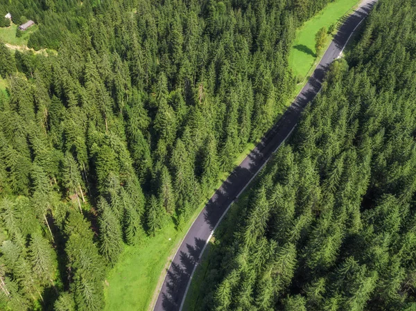 arial veiw of empty road in green forest. drone shot