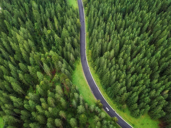 arial veiw of empty road in green alpine forest. drone shot