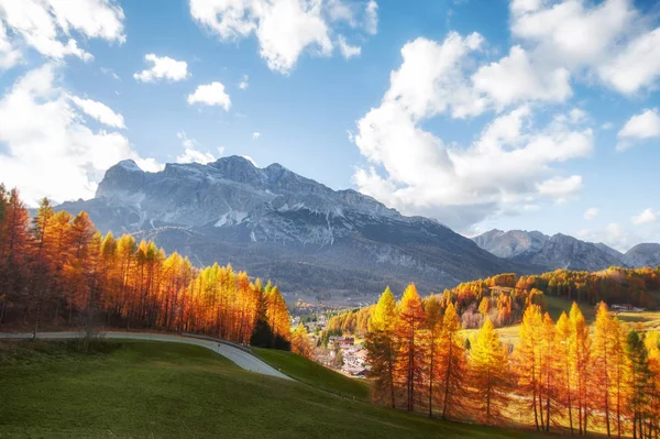 Dağlarda güzel altın sonbahar. doğal arka plan. Yap — Stok fotoğraf