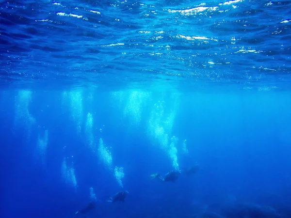 Búvárok egy csoportja úszik a víz alatt. nyári koncepció — Stock Fotó