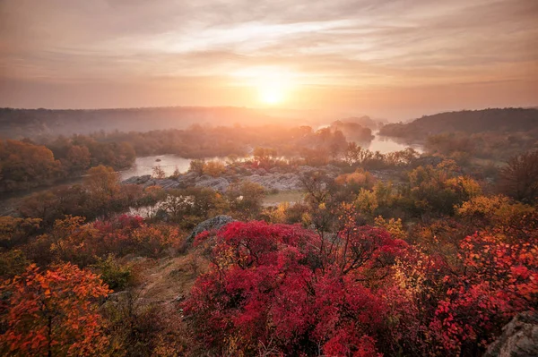 Úžasný panoramatický výhled na modrou mlžné říčky a pestrý Les — Stock fotografie