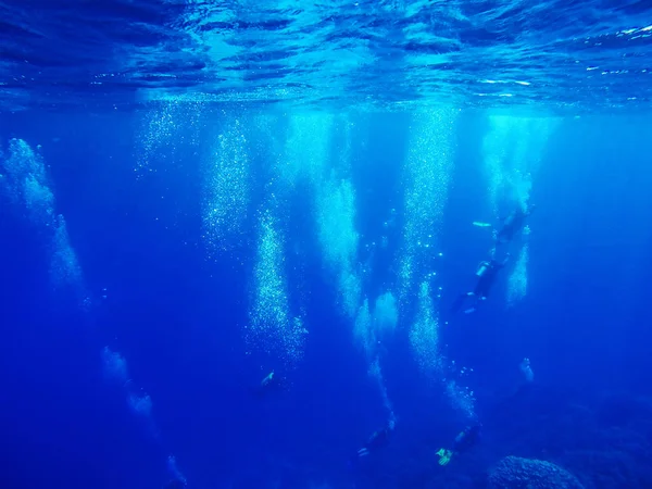 Groupe de plongeurs nageant sous l'eau. concept d'été — Photo
