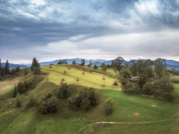 Hermosa Vista Montaña Con Bosque Niebla Verde Camino Vacío Fondo —  Fotos de Stock