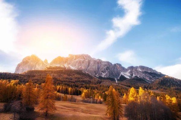 山の中の美しい黄金の秋。自然な背景。行う — ストック写真