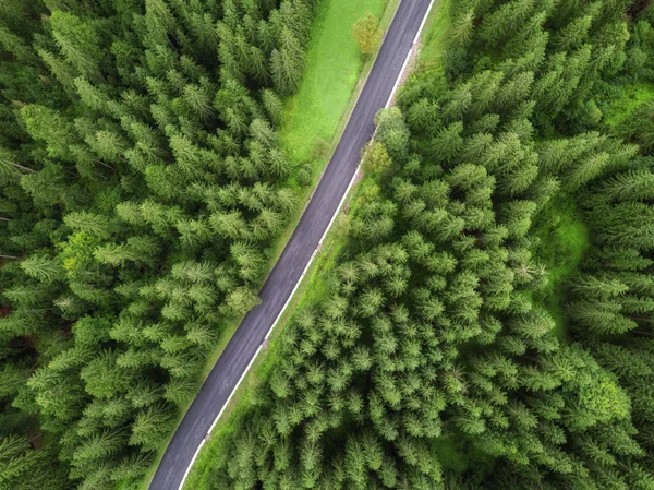 arial veiw of empty road in green alpine forest. drone shot