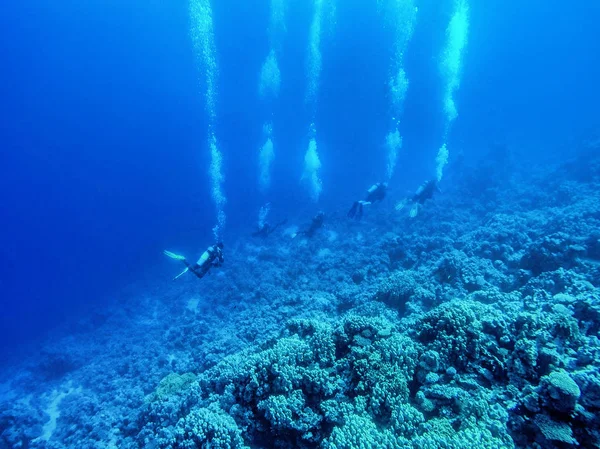 Gruppe von Tauchern, die unter Wasser schwimmen. Sommerkonzept — Stockfoto