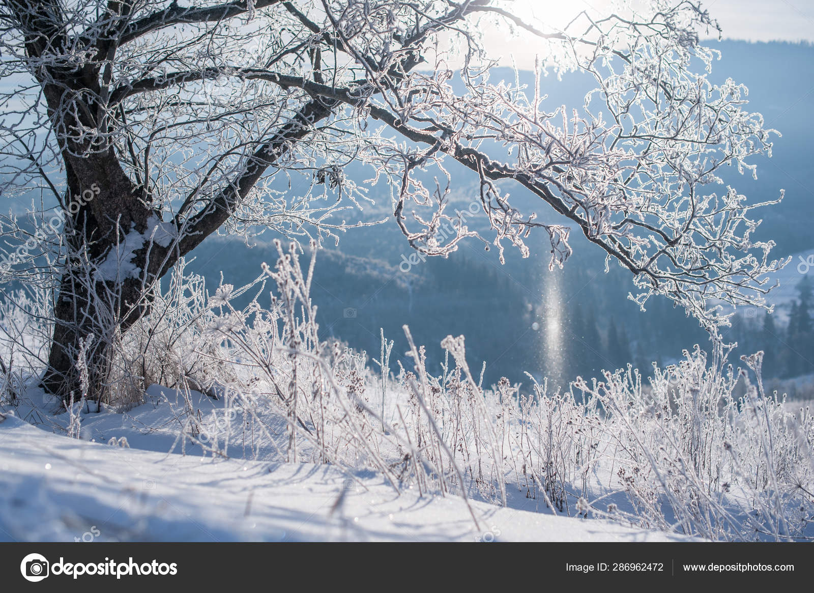 Сельская Дорога Покрытая Снегом Обмороженными Деревьями Красивый Зимний Пейзаж — стоковое фото