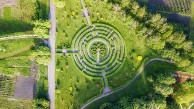 bir labirent şeklinde hava görünümü f yeşil çiçek yatak. drone atış